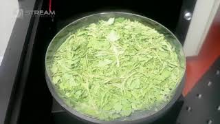 How To Identify Soil or Herbs