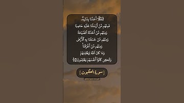 سورة العنكبوت الآية ٤٠ و ٤١ بصوت الشيخ محمد صديق المنشاوي