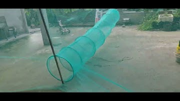 Cung cấp dớn bắt cá. Cung cấp xăm dớn chặn sông. Lú dớn bắt cá. Đuôi chuột bắt cá. Zalo 0936059090.