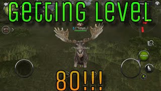 Wild Animals Online: Toyo And Karma Reaching 80!! Wild Animals Online: Toyo And Karma Reaching 80!!