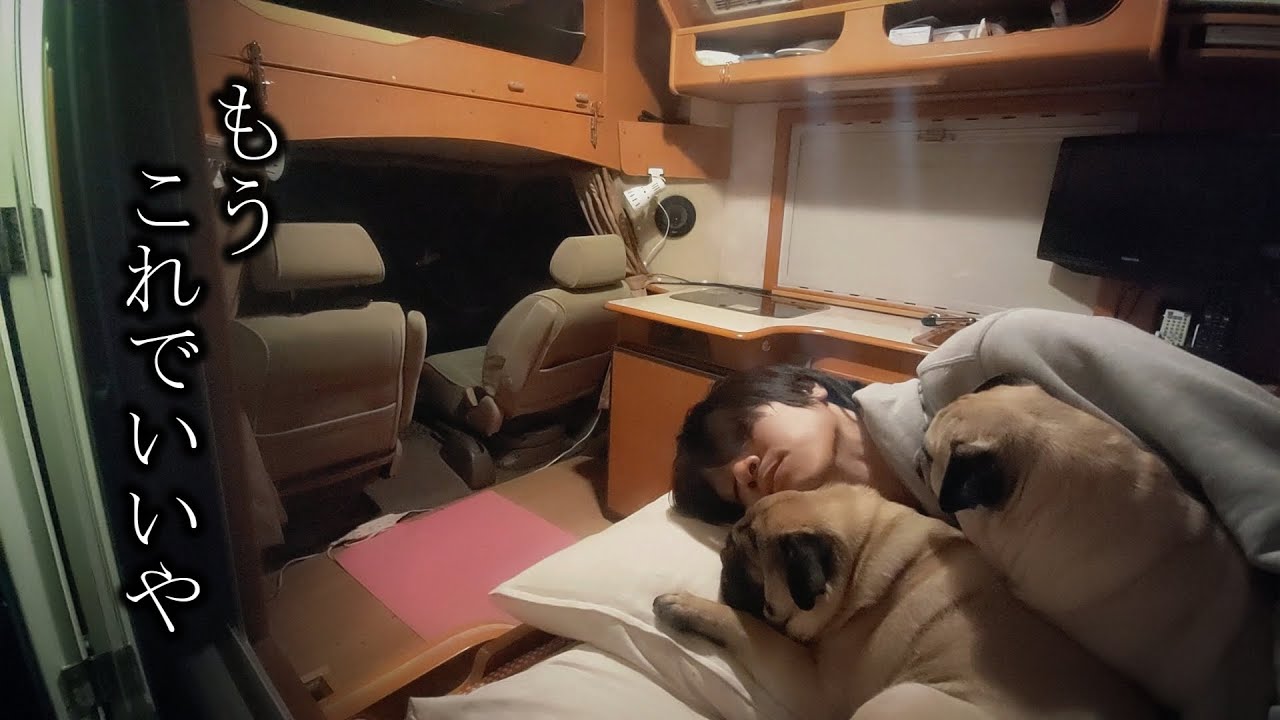 【函館車中泊】30代、未婚、彼女なし。でも共に旅する家族が出来た一人暮らし