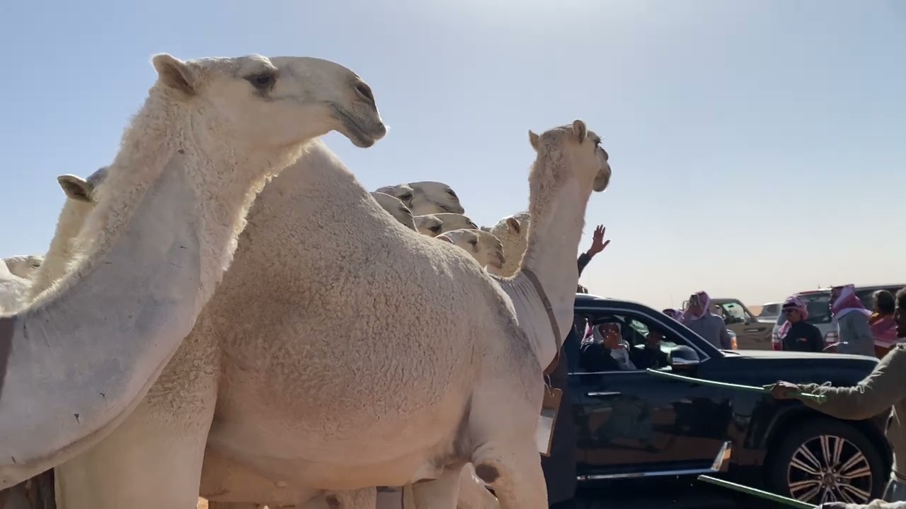 منقية خالد شريد أبوخشيم