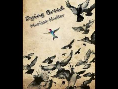 Dying Breed - Marissa Nadler (lyrics)