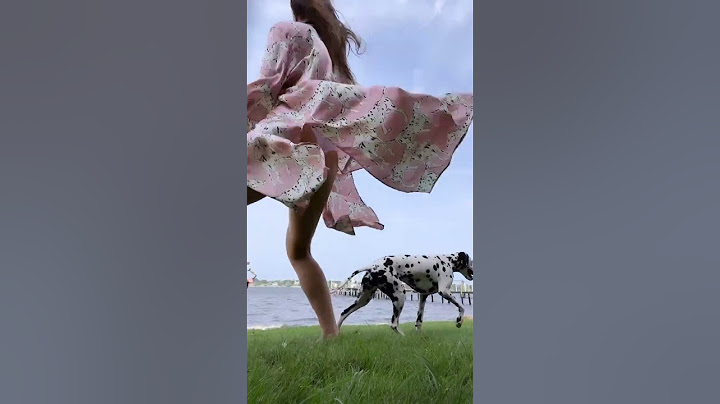 Dancing through life with a lively audience of furry friends! #amandacerny #shorts #dance #dogs