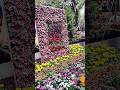Empress garden Pune | #shorts #nature #pune #garden