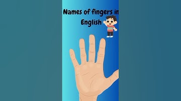 Names of fingers in English#animated #shortsfeed