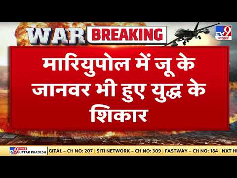 Ukraine Russia War: Mariupol में प्राइवेट जू के जानवर भी हुए युद्ध के शिकार