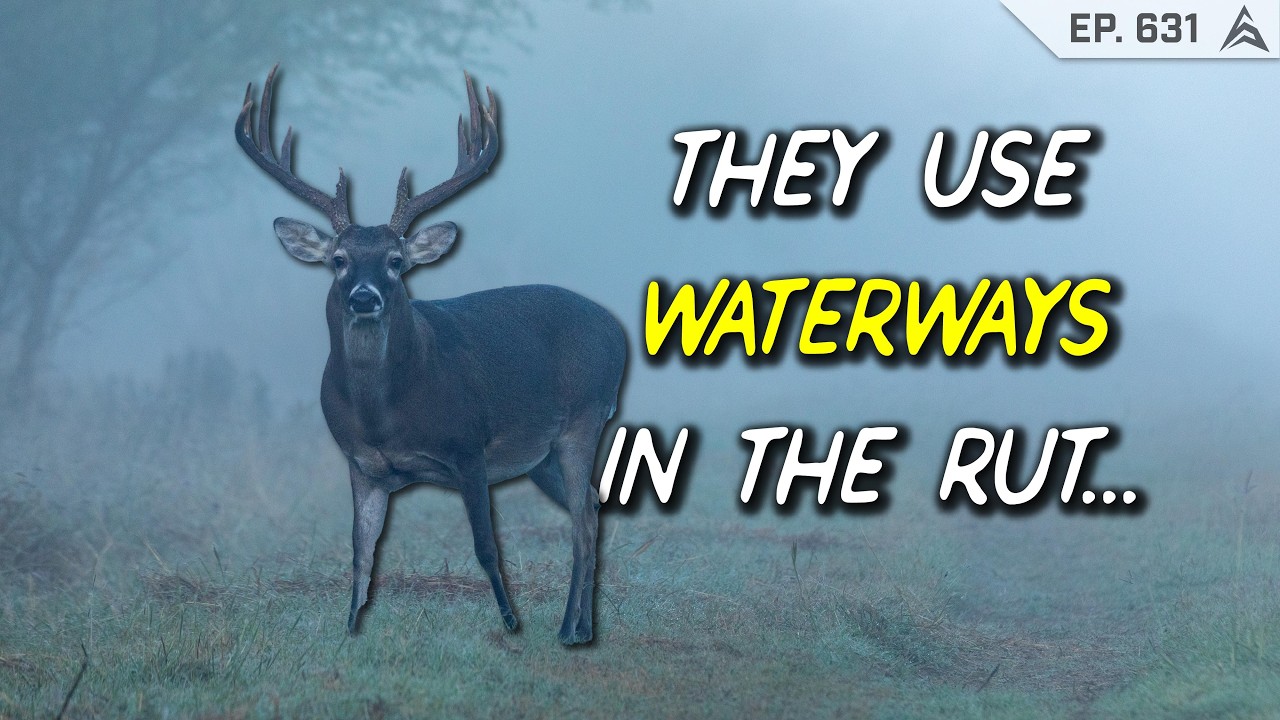 Whitetail Rut Quotes The Whitetail Rut Timing (HINT NO ONE IS ACTUALLY