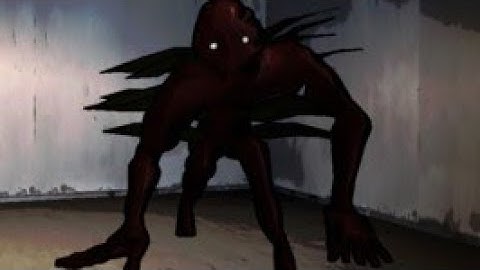 Advanced Bracken Guide