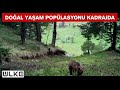 Erzincan'da yaban hayatı fotokapanla görüntülendi