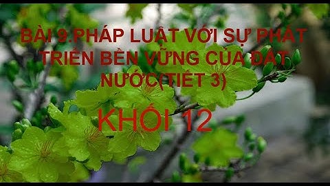 BÀI 9 PHÁP LUẬT VỚI SỰ PHÁT TRIỂN BỀN VỮNG CỦA ĐẤT NƯỚCTIẾT 3