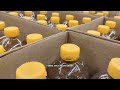 Why Specialty Vegetable Oils Are Booming 2025-2032 | 24chemicalresearch