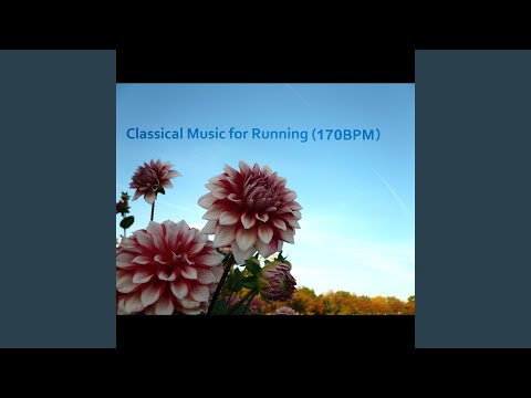 無伴奏チェロ組曲 第１番 ト長調 BWV.1007／1. 前奏曲...