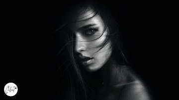 The Ambientalist - In A Better World