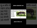 किस जानवर के दूध का पनीर सबसे महंगा है #gk #gkquiz #gkinhindi #gkquestion #gkfacts #gkshorts