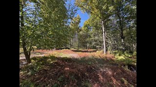 For Sale - Sugar Bush Trail, Potter County Pa. Part 1