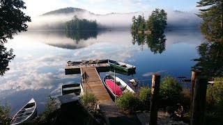 Camp Le Guide Cabin Forêt Baera Forest