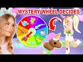 MYSTERY WHEEL DECIDES What PETS We Make *NEON* In Adopt Me! (Roblox)
