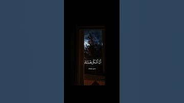 فتبسم ضاحكاً من قولها #تلاوة_خاشعة #سورة_النمل  [ الآية 19 ] #قران_كريم