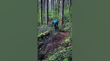 Carve Your Own PATH!