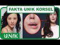 5 fakta Unik Korea Selatan