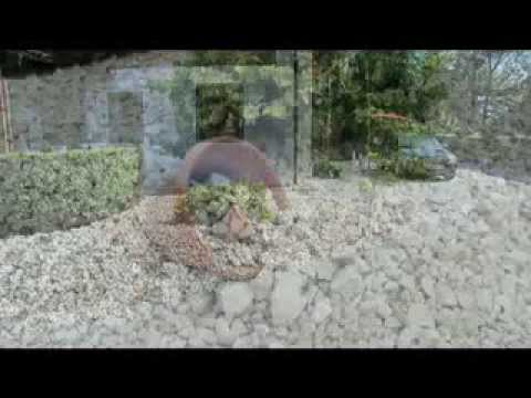 gartenvideo-unser-sommer-2011---carportbau,-steingarten,-pflastersteine