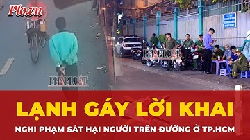 Lạnh gáy lời khai của nghi phạm vụ tấn công người đến tử vong trên đường ở TP.HCM | Tin nhanh