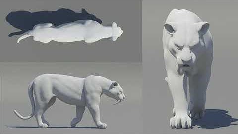 Creature animation study. Tiger walk and run cycles.