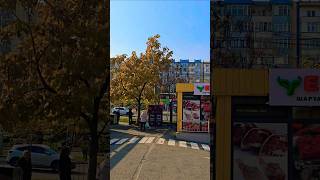 ящик для сбора одежды, мясо и стоянка в Алматы #walkingtour
