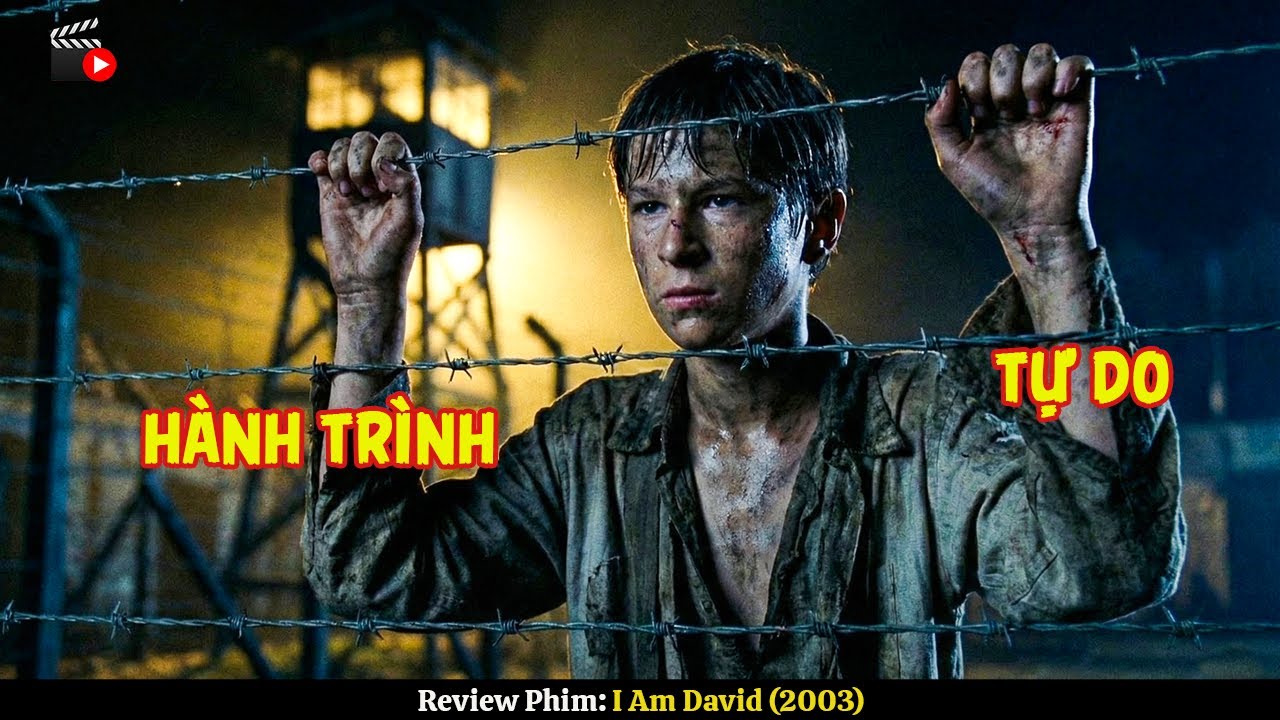 [Review Phim] Cậu Bé Và Hành Trình Vượt 1.000 KM Để Tìm Ánh Sáng Tự Do