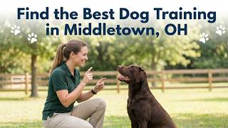 Find the Best Dog Training in Middletown   OH Ohio