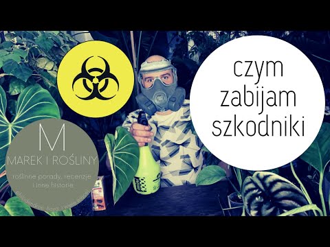 Wideo: Czy Zimą Można Zwalczać Szkodniki?