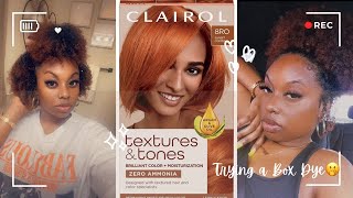 Dying My Natural Hair with NO DAMAGE!! | Sunset Copper | Clairol Textures & Tones