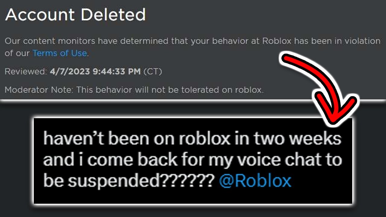 Got banned for a day after meowing in Roblox voice chat… : r