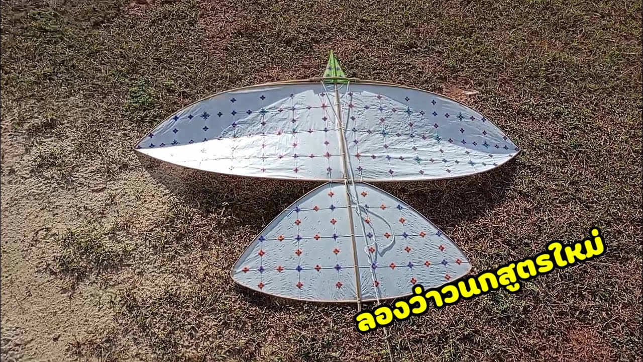 ลองว่าวนกเมตร40สูตรใหม่ล่าสุด!!!!!