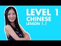 Learn chinese for beginners  hsk 1 course vocabulary listening grammar conversation practice 11