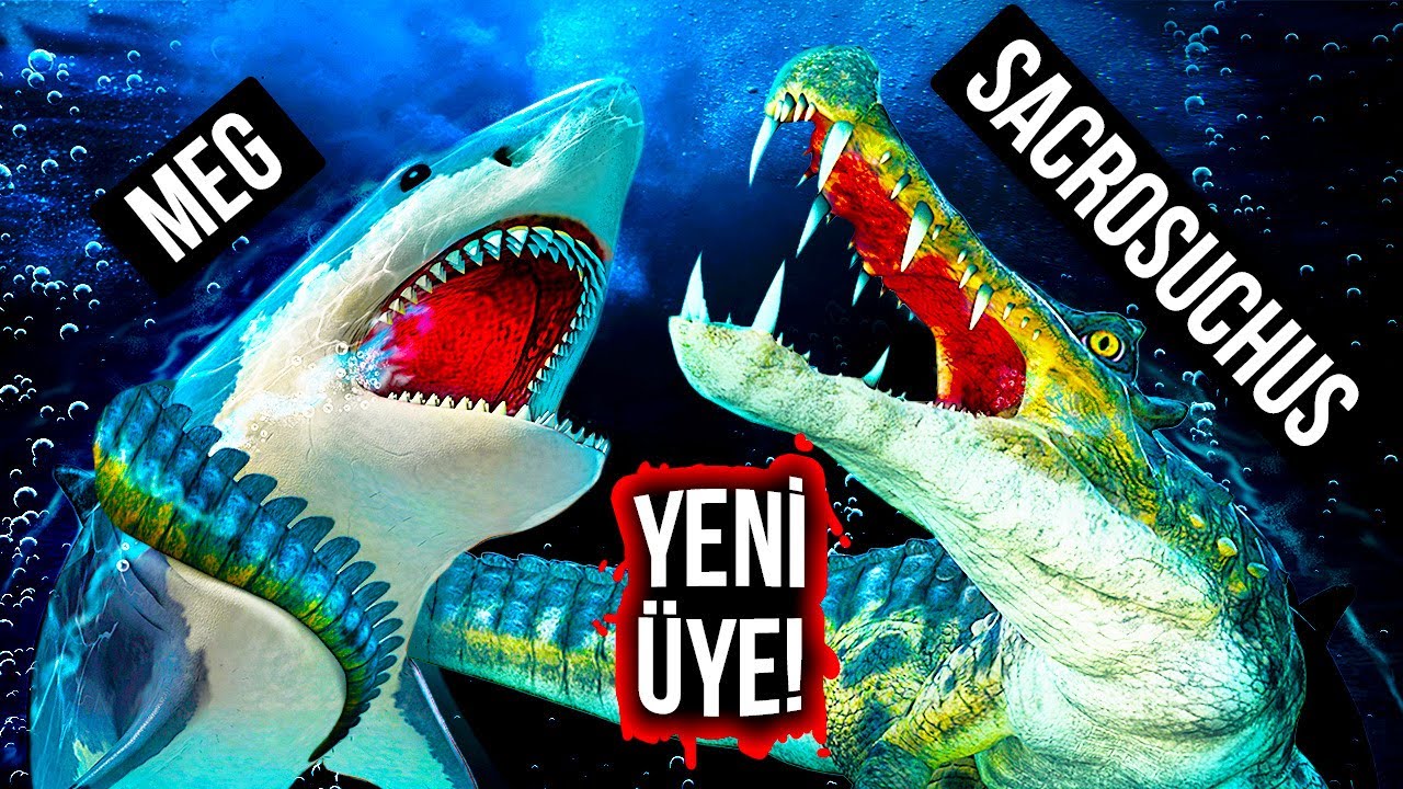 Megalodon Dev Timsah Dinozora Karsi Kazanan Kim Olacak Youtube