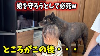 愛犬の行動が完全に保護者目線で笑いましたw【親の心子知らず】