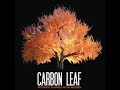 Video Days gone by Carbon Leaf