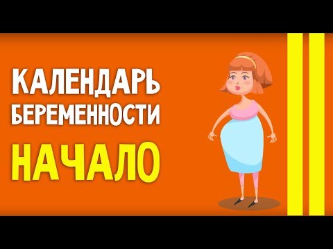 Календарь беременности. Начало новой жизни