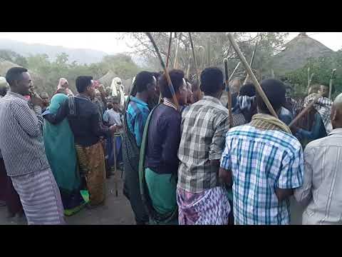 ቪዲዮ: ባህል በአዳዲስ የባቡር ሐዲዶች ላይ