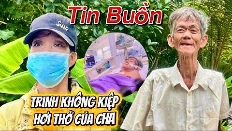 Chú hùng đã ra đi mãi mãi về đất mẹ trinh không kiệp hơi thuở của cha #haivit #trinhkho #chuhung