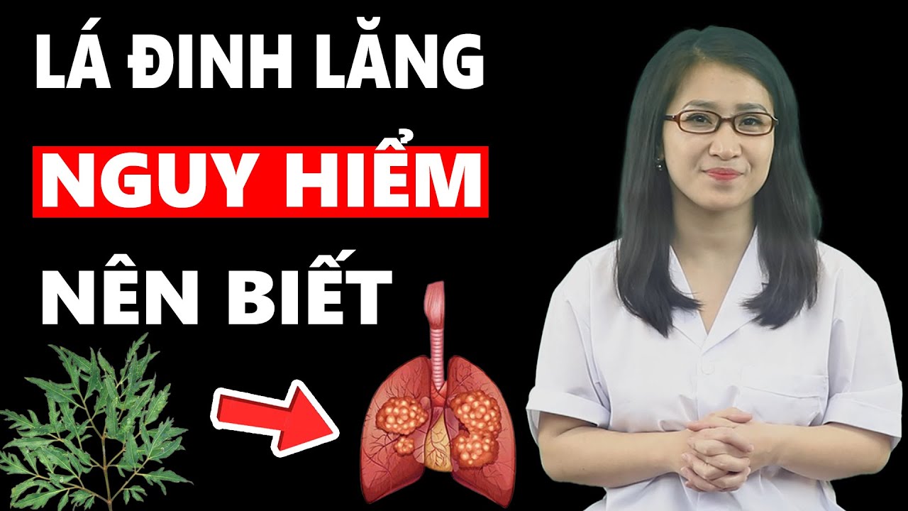 Điều Gì Xảy Ra Khi Uống Nước Lá Đinh Lăng Mỗi Ngày | Dược Phẩm Chính Hãng