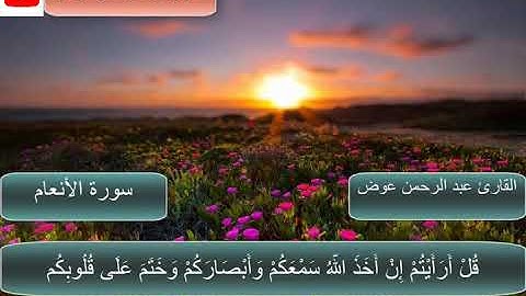 ما تيسر من سورة الأنعام | بصوت شجي وعذب | القارئ عبد الرحمن عوض