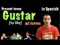 01062 Spanish Lesson - Present Tense - Gustar (all forms)   activities