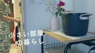 【一人暮らしの食事】電気圧力鍋Re・De Pot で簡単調理 / ウォーキングと刺繍とドライフラワー