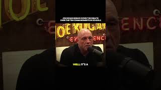 JD Vance & Joe Rogan Discuss the Ten Commandments in Schools ? @joerogan #jdvance #usa #america