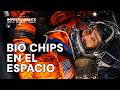 NASA envió copias de tejido humano vivo al espacio profundo