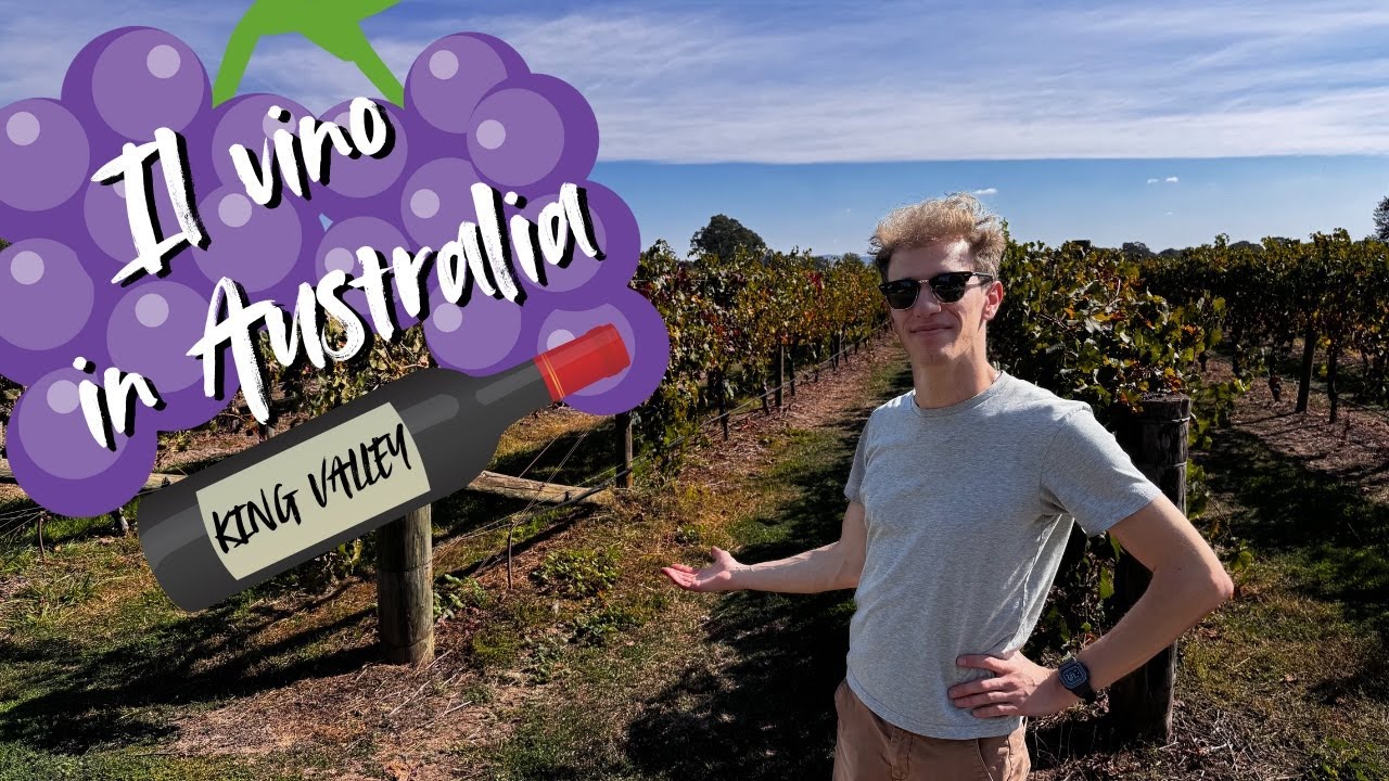 Come sono i vini australiani? Scopriamo i vini italiani in Australia