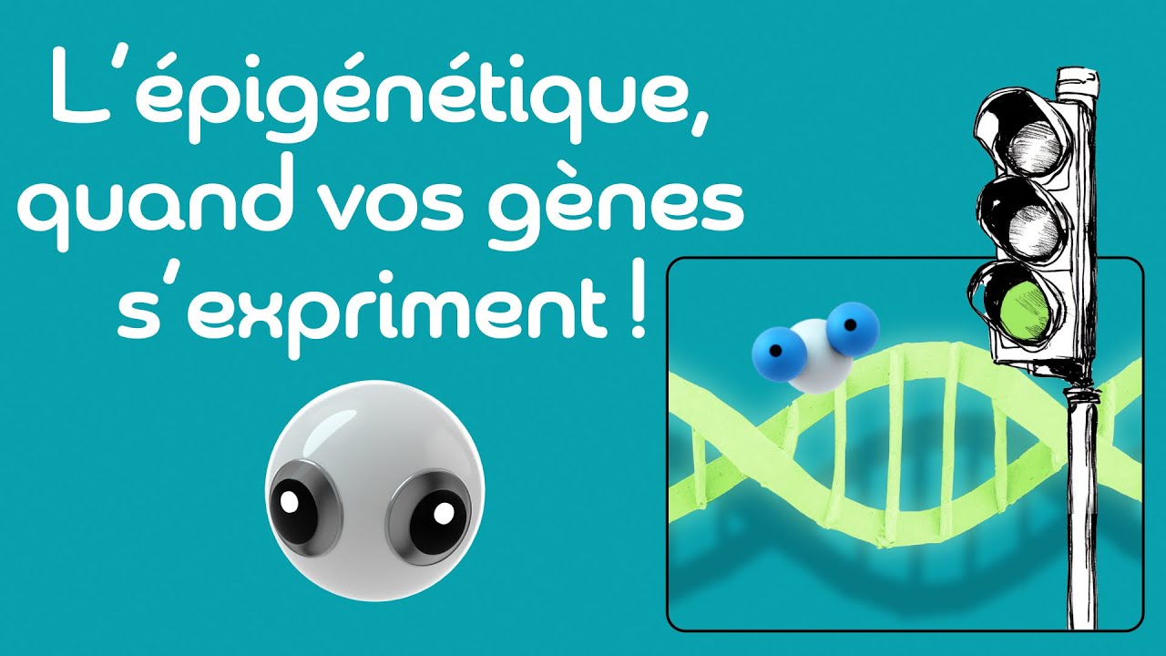 🧬🤯 L’épigénétique, on vous explique !